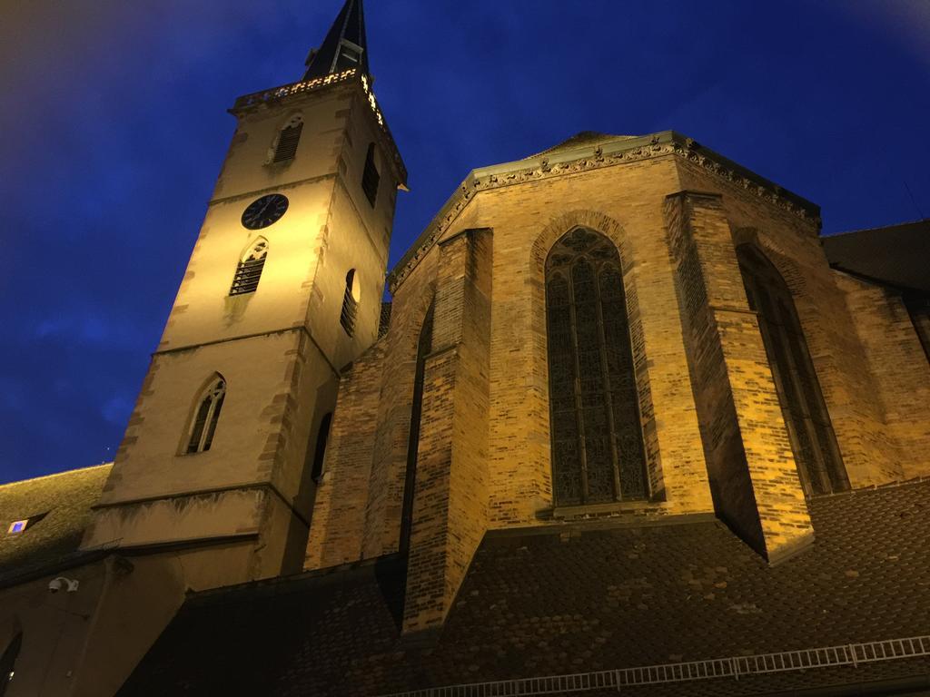 La Cour Des Cordonniers, Centre Cathedrale Petite France Lägenhet Strasbourg Exteriör bild